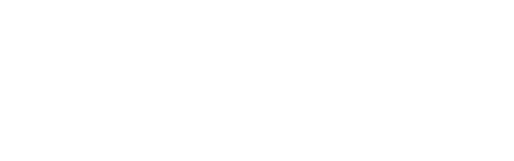 Tiem Builders LOGO White